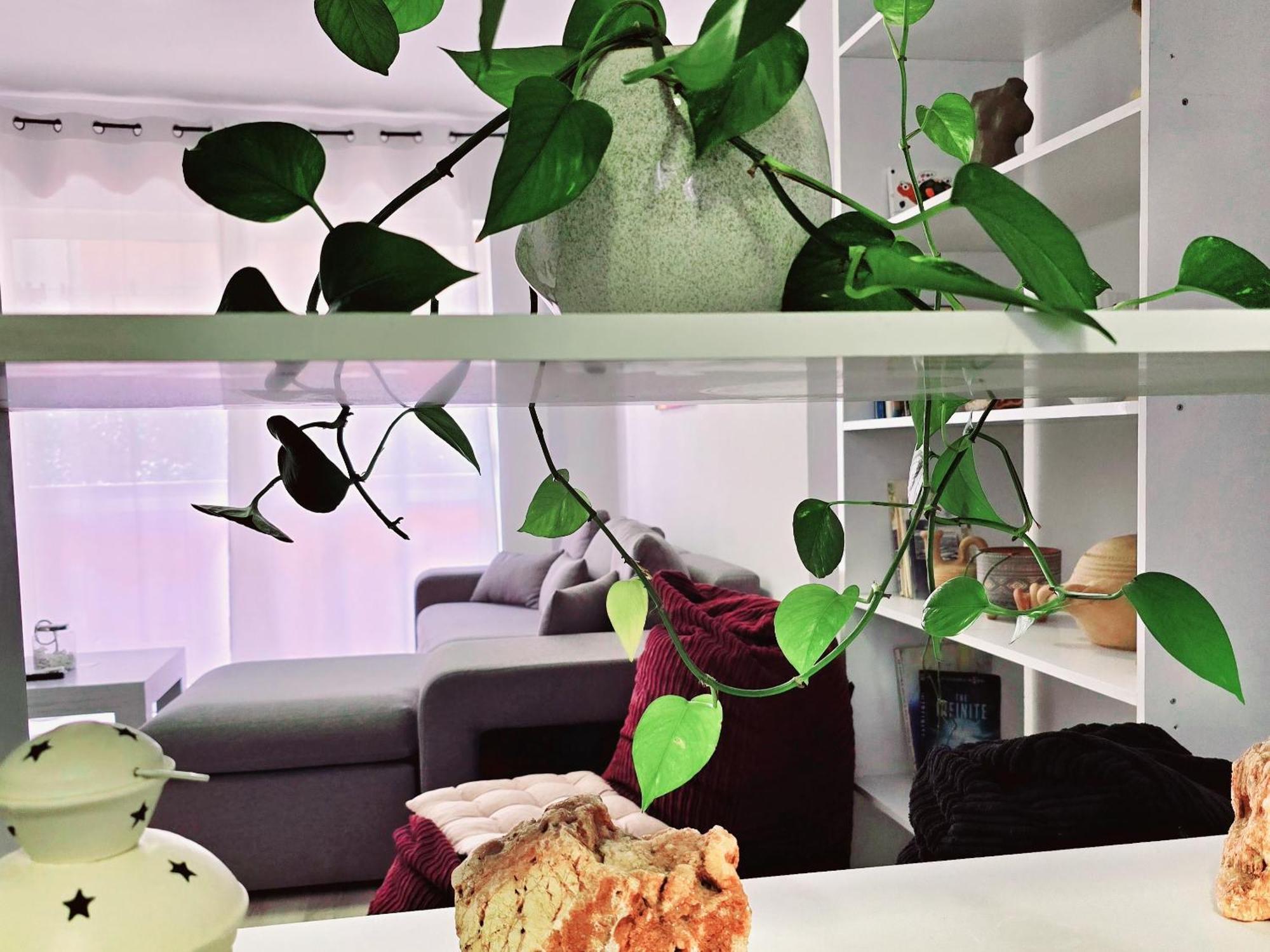 Apartament Micasatucasa Tirana Zewnętrze zdjęcie